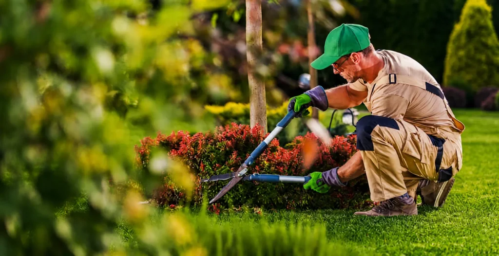 Commercial landscaping and facility support services in Australia